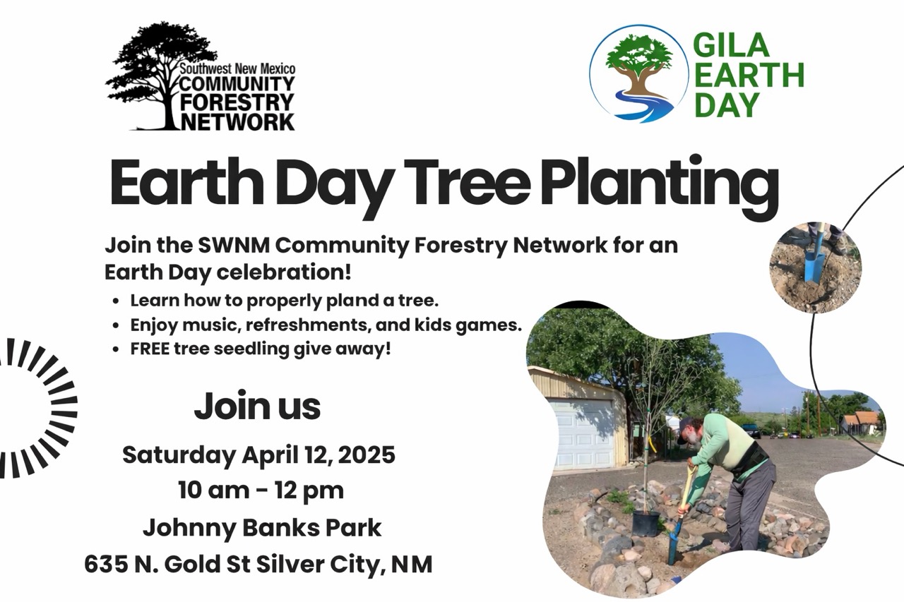 Earth Day Tree Planting – Silver City