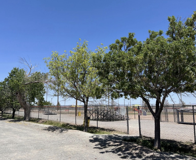 Lordsburg - Southwest New Mexico Community Forest Network Project