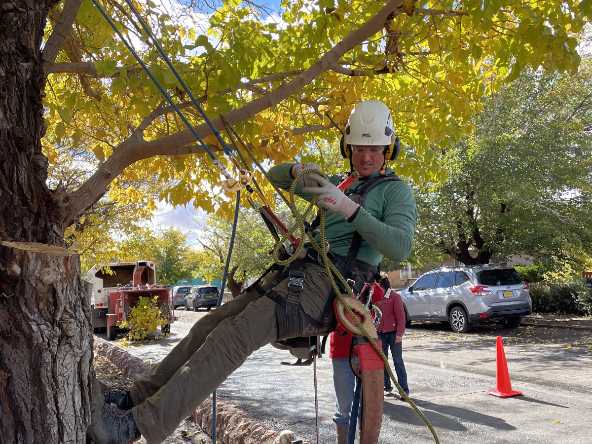 Advancing Community Forestry: Spring 2026 Highlights